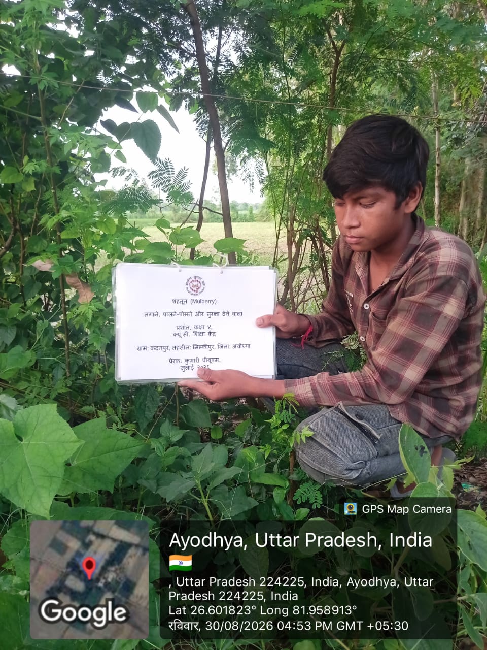 Mulberry (शहतूत) Tree Taken Care By: Prashant