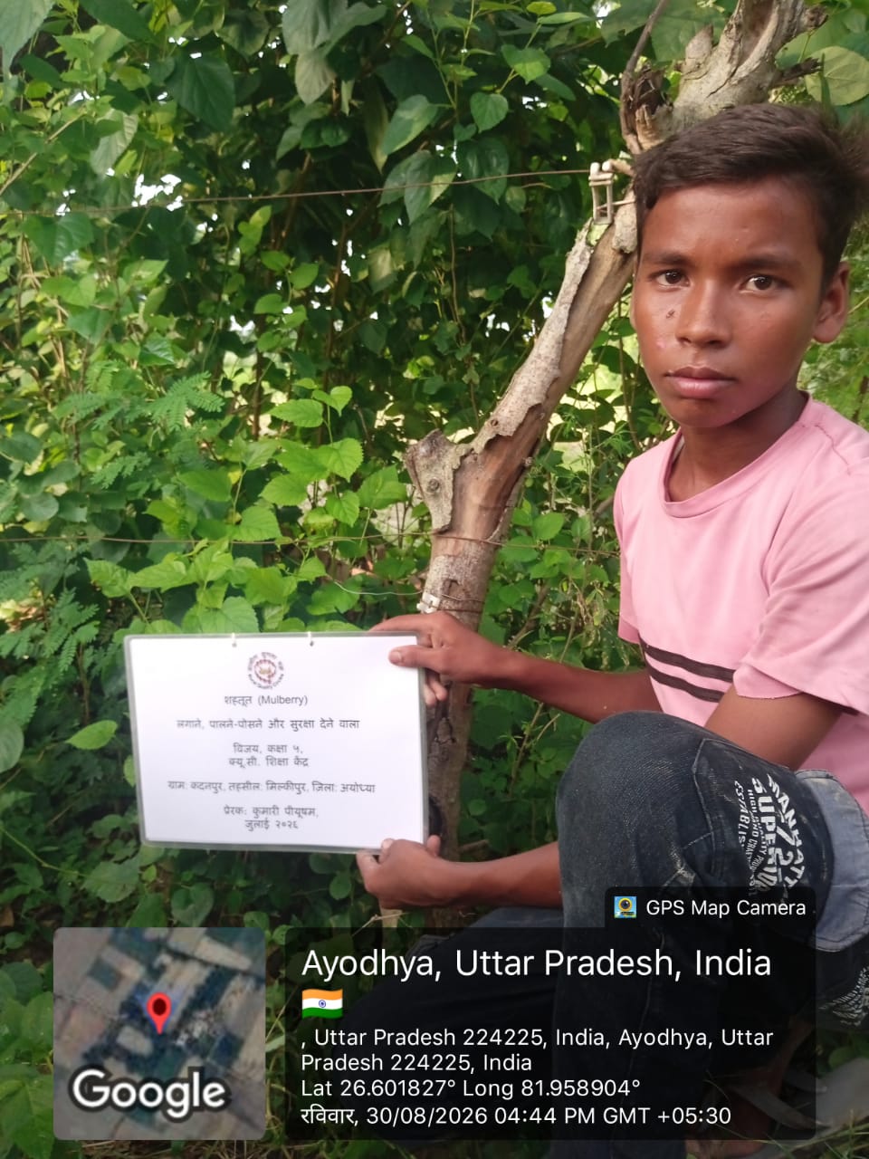 Mulberry (शहतूत) Tree Taken Care By: Vijay