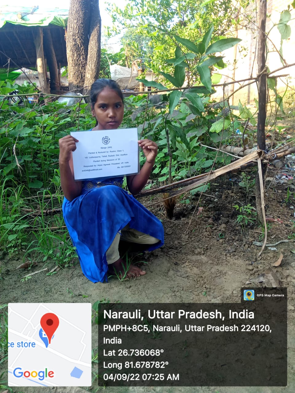 Mango (आम) Tree Taken Care By: Roshini