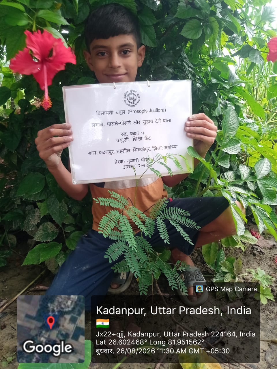 Acacia (बबूल) Tree Taken Care By: Rudra