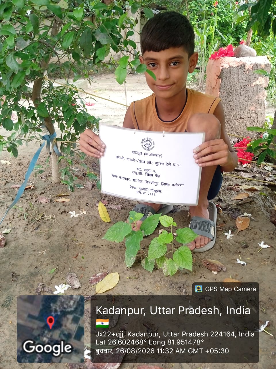 Mulberry (शहतूत) Tree Taken Care By: Rudra