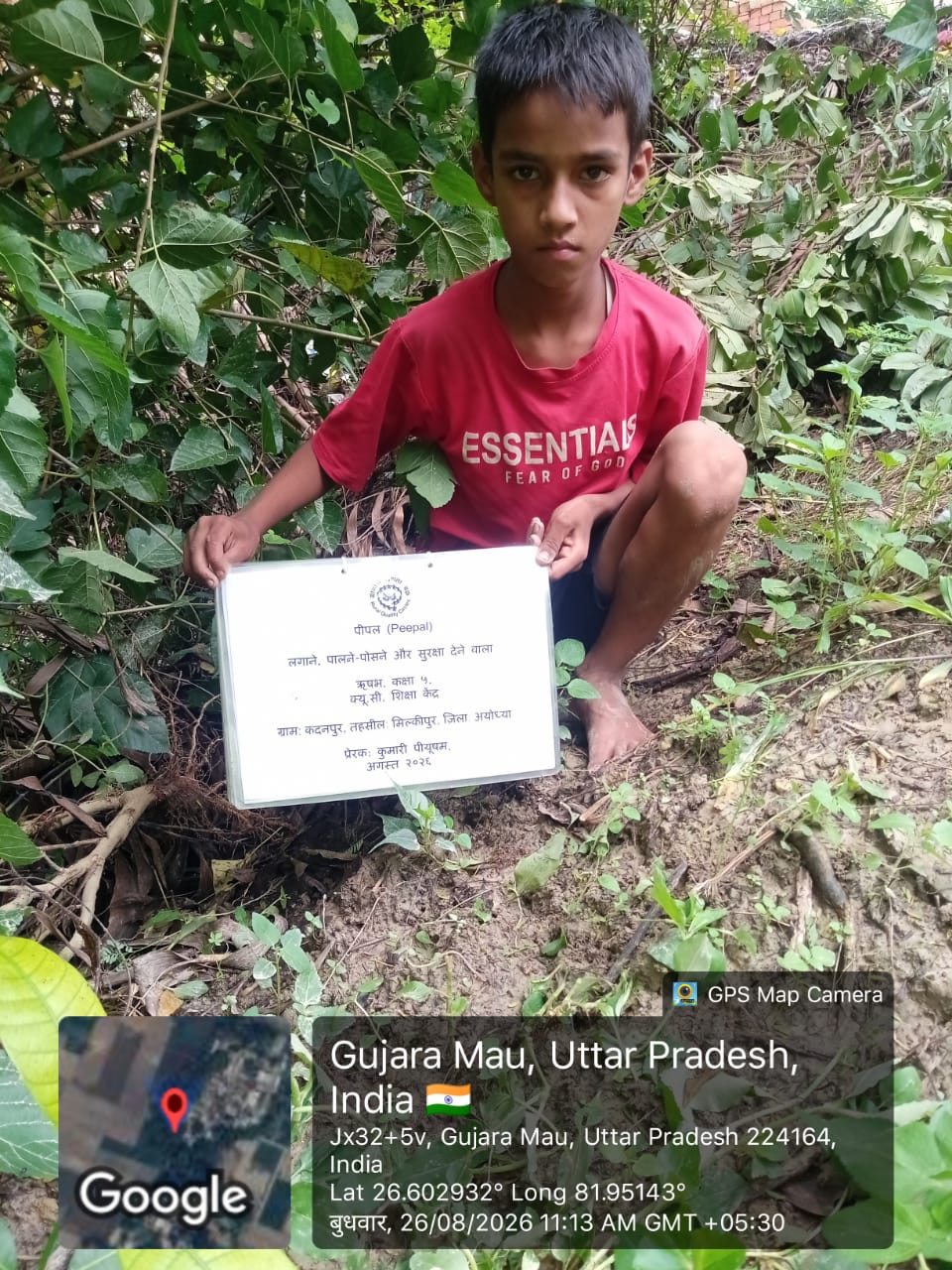Peepal (पीपल) Tree Taken Care By: Rishabh