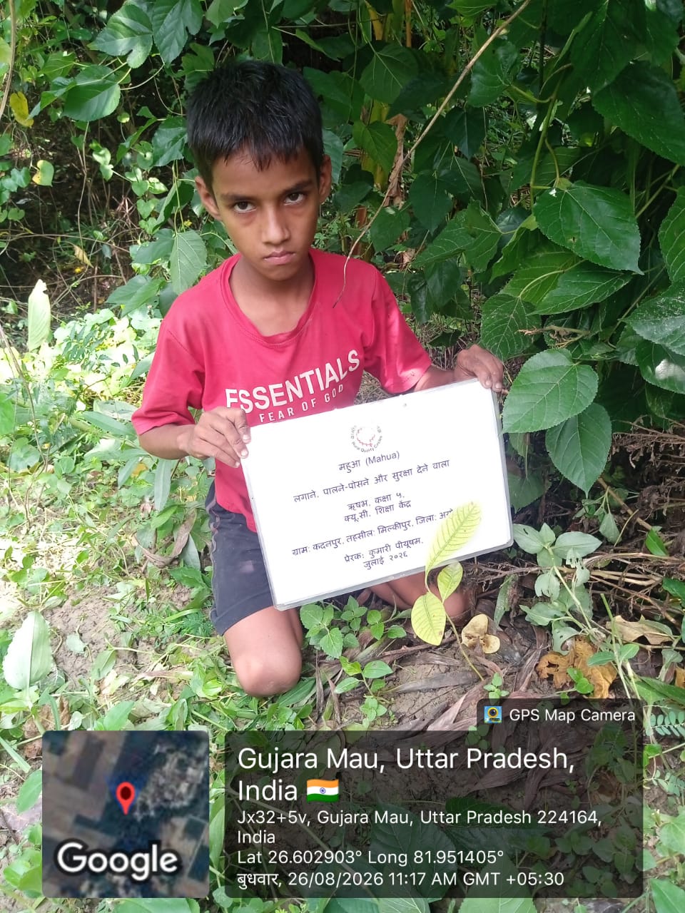 Mahua (महुआ) Tree Taken Care By: Rishabh