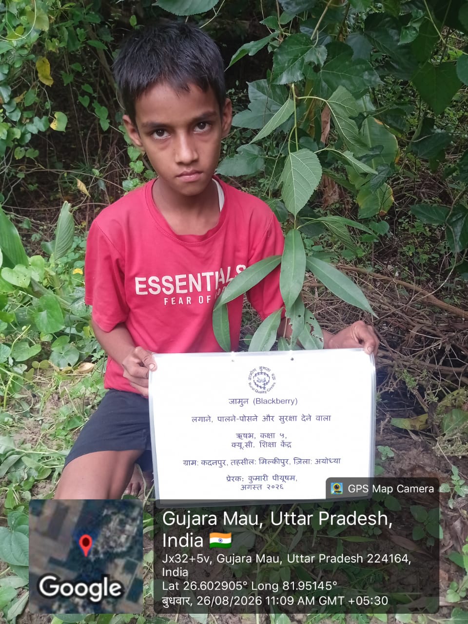 Blackberry (जामून) Tree Taken Care By: Rishabh