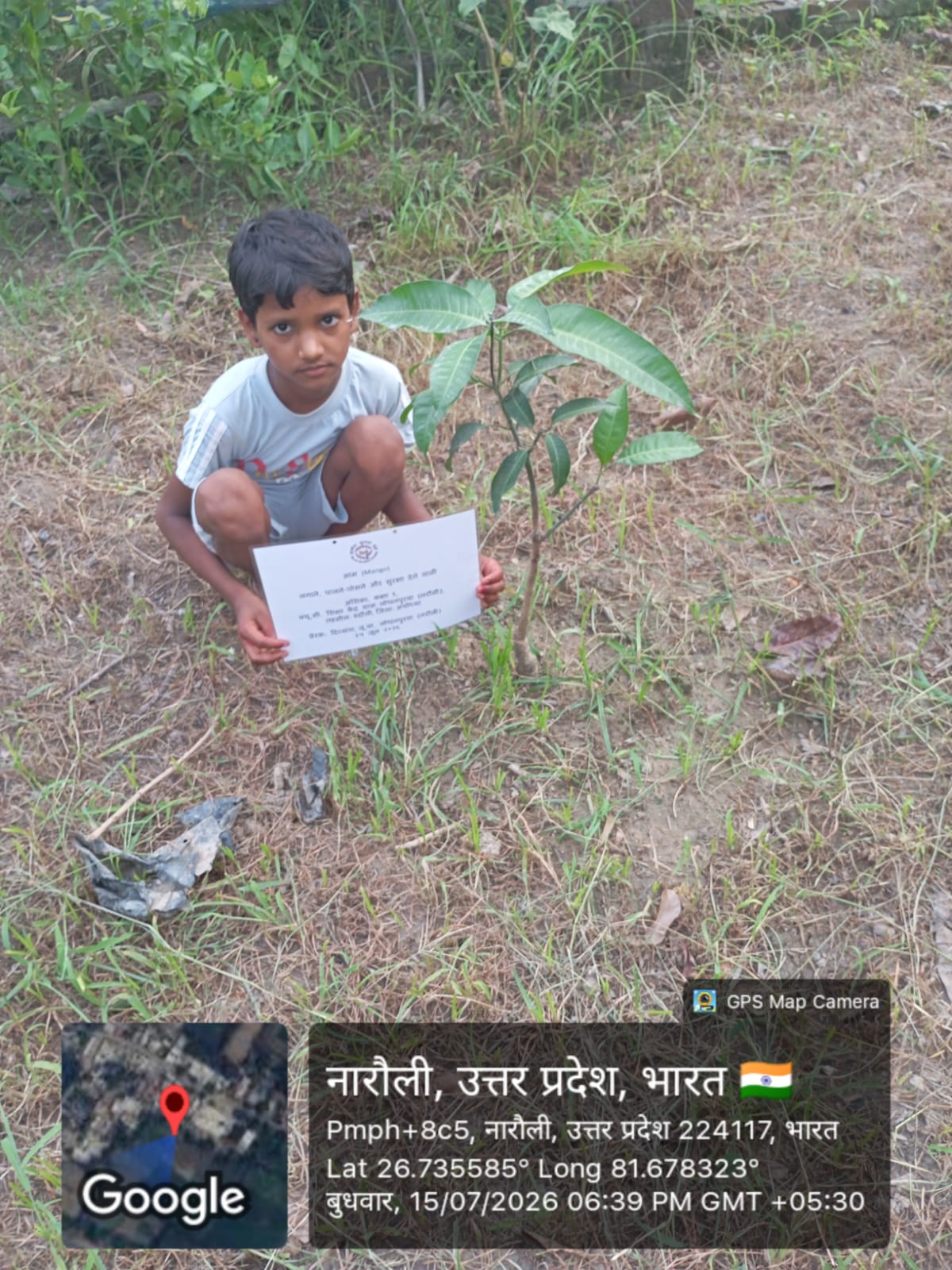 Mango (आम) Tree Taken Care By: Anshika