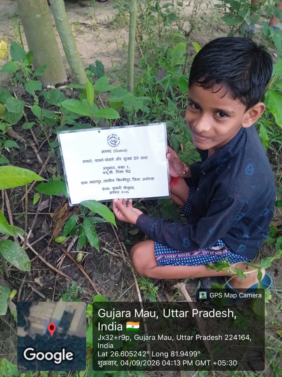 Guava (अमरूद) Tree Taken Care By: Ansuman