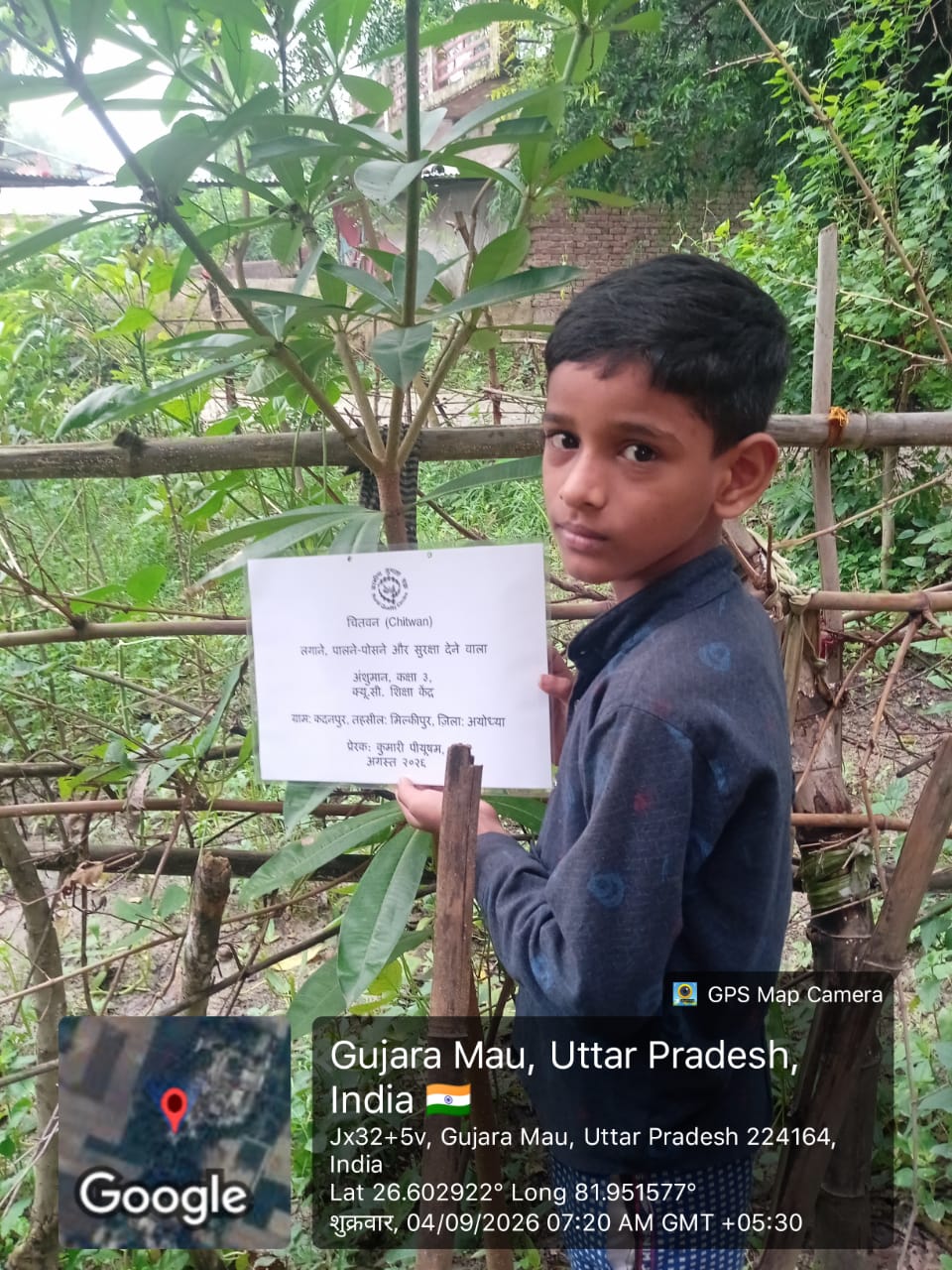 Devils Tree/Blackboard Tree (चितवन) Tree Taken Care By: Ansuman