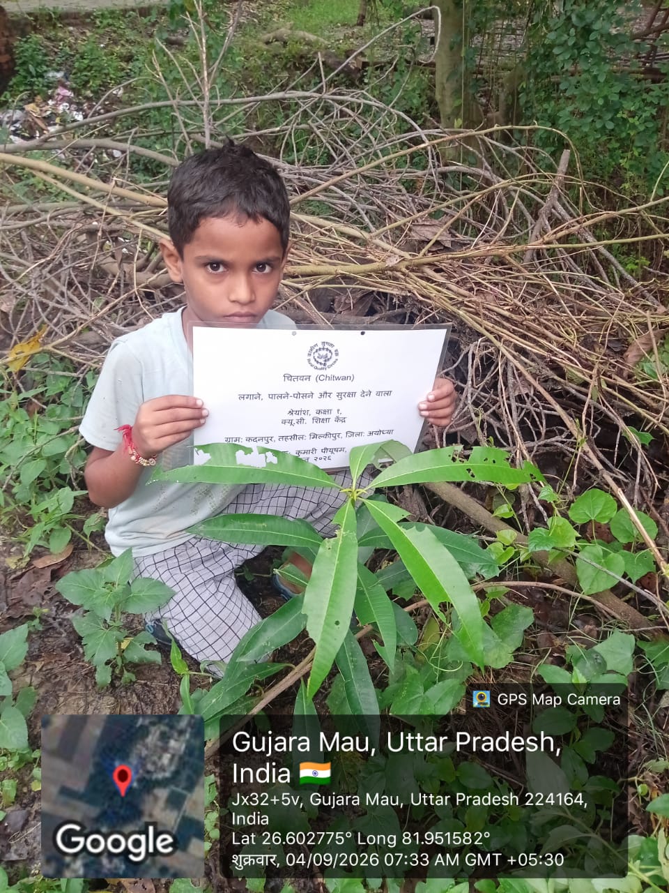 Devils Tree/Blackboard Tree (चितवन) Tree Taken Care By: Shreyansh