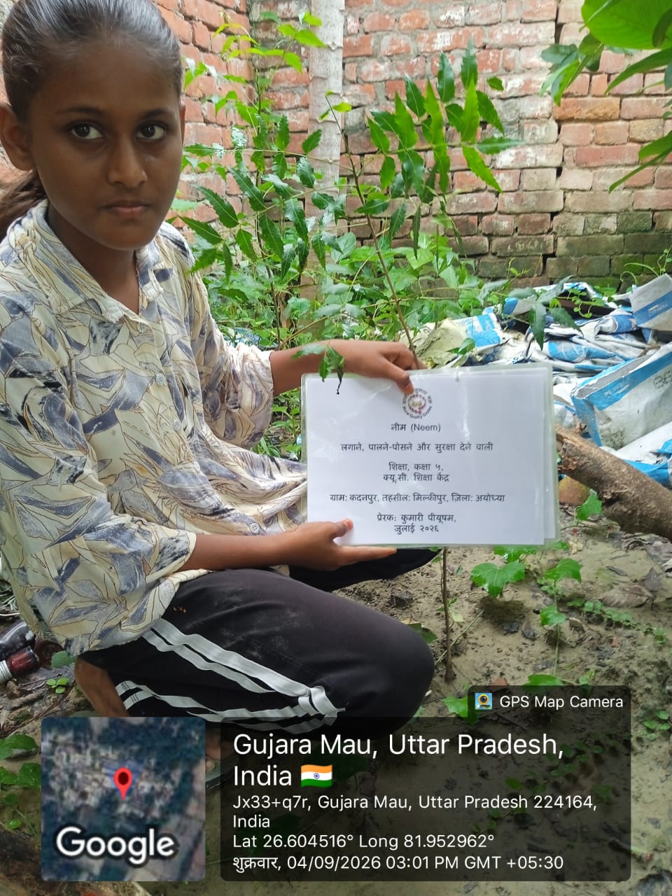 Neem (नीम) Tree Taken Care By: Shiksha