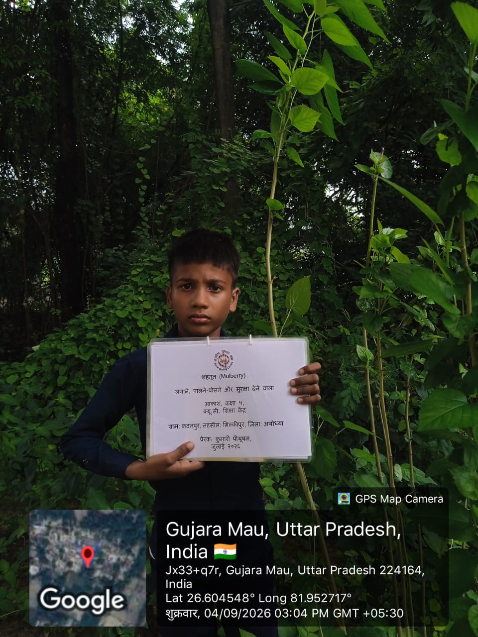 Mulberry (शहतूत) Tree Taken Care By: Akash