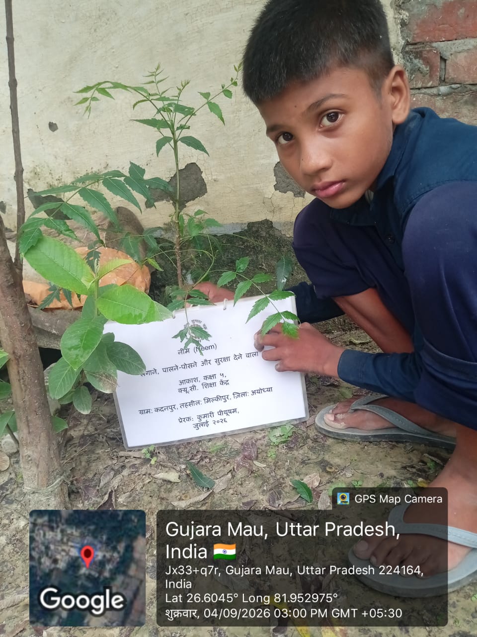 Neem (नीम) Tree Taken Care By: Akash