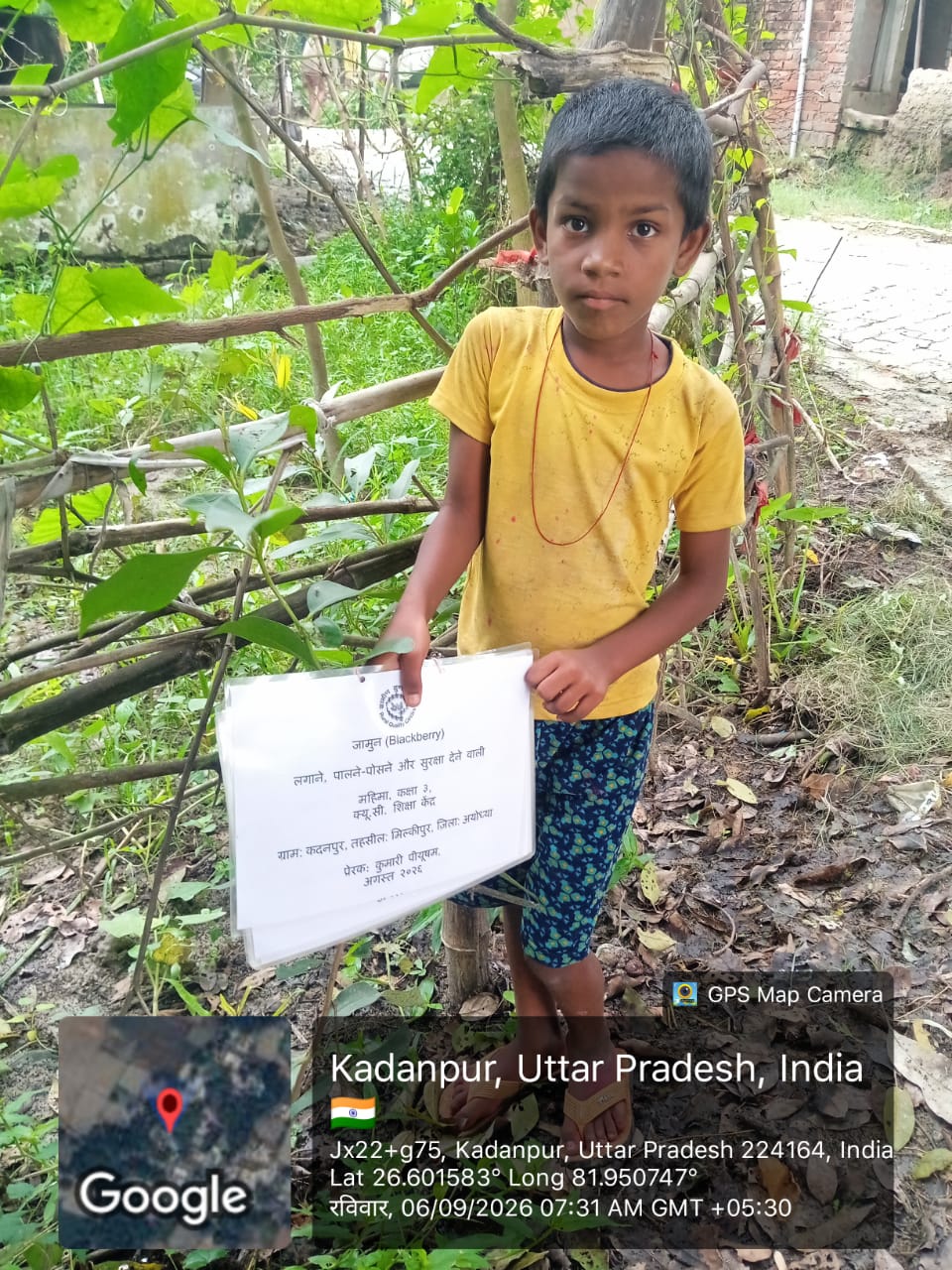 Blackberry (जामून) Tree Taken Care By: Mahima