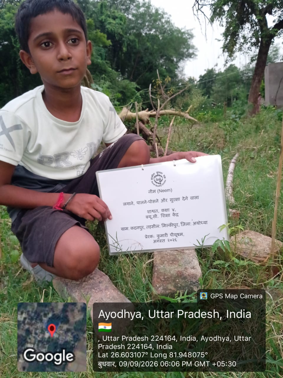 Neem (नीम) Tree Taken Care By: Shashvat