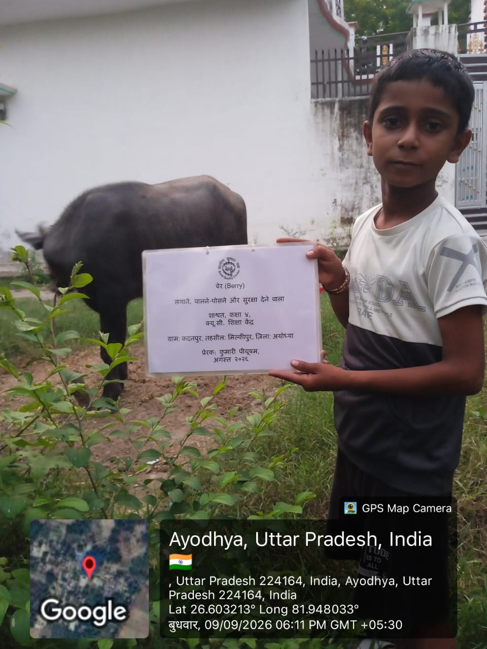 Berry (बेर) Tree Taken Care By: Shashvat
