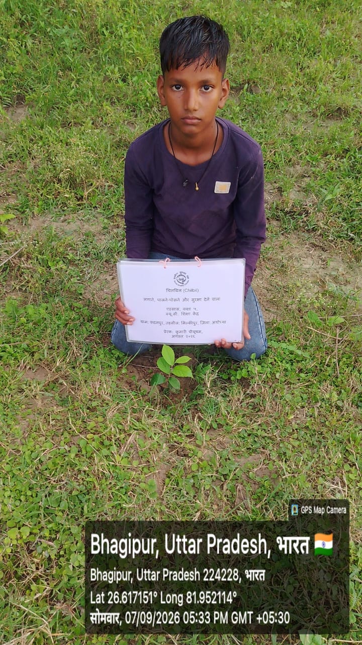 Indian Elm (चिलबिल ) Tree Taken Care By: Ahsaas