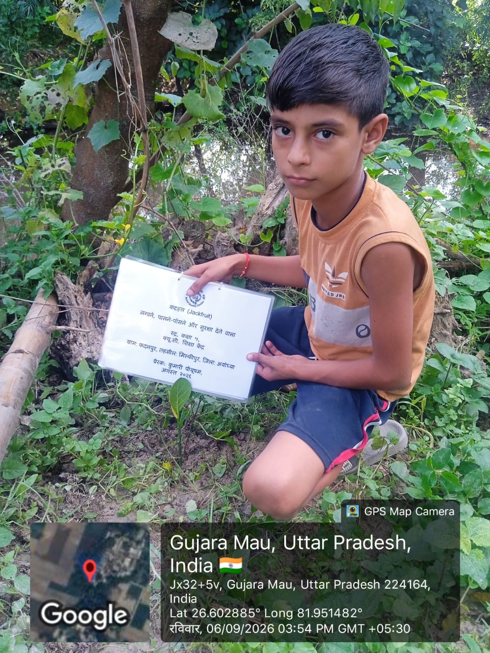 Jack Fruit (कटहल) Tree Taken Care By: Rudra