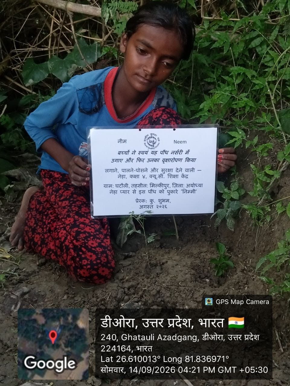 Neem (नीम) Tree Taken Care By: Neha