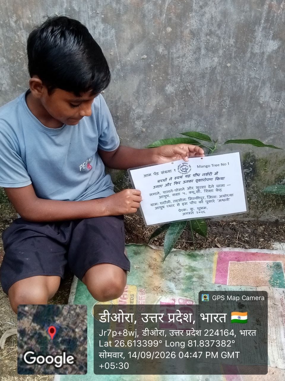 Mango (आम) Tree Taken Care By: Ayush