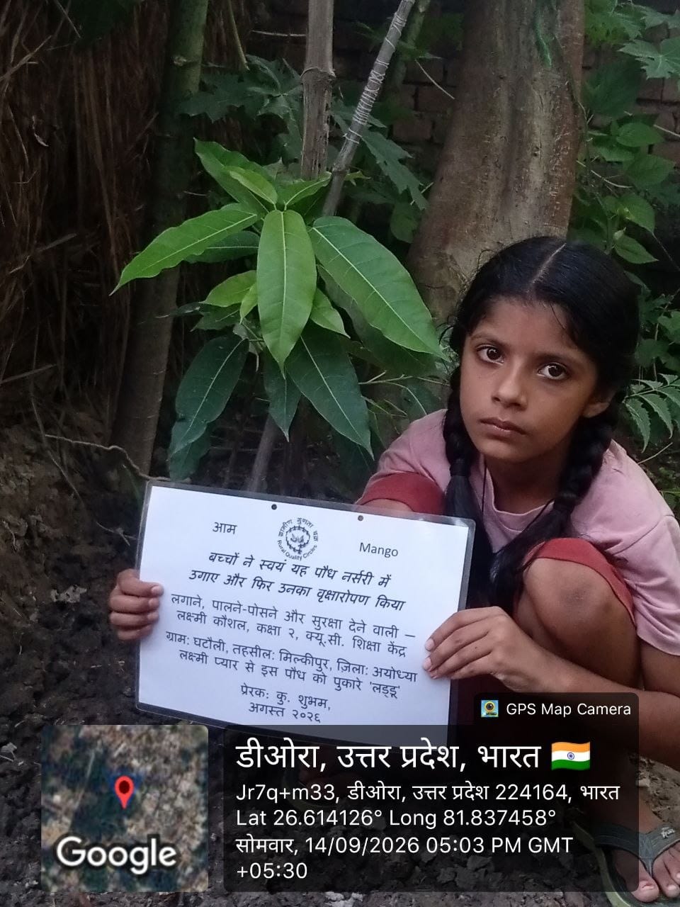 Mango (आम) Tree Taken Care By: Laxmi Kaushal