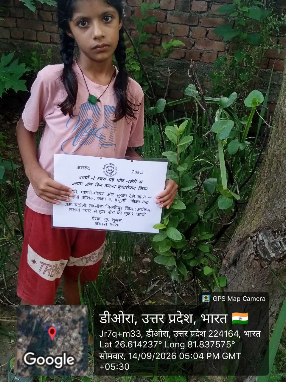 Guava (अमरूद) Tree Taken Care By: Laxmi Kaushal