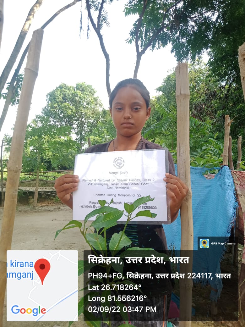 Mango (आम) Tree Taken Care By: Shivani Pandey